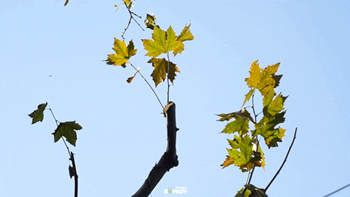 “今年元旦！我来静安只做1件事 ”