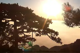 山东泰山：云海日出 蓬勃壮观图片
