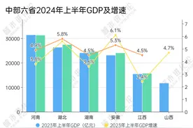 中部崛起20年，还需要一个“火车头” | 智库图片