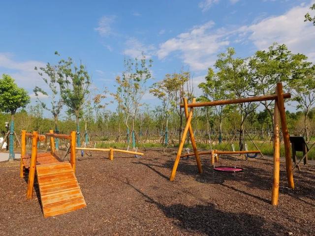 热搜！寒潮收尾！周末最高21℃！来光明东滩源、黄山茶林场兜兜…最低2折特惠！太值了！