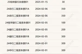 开年银行二永债发行力度同比骤降：大行静待核心一级资本补充方案，中小银行谋划多渠道补充资本金，银行自营部门“买短抛长”增厚收益图片