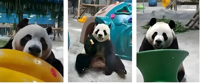 栾川这条最美自驾线路，必打卡！