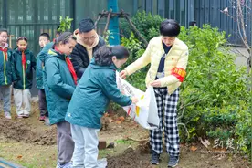 薪火相传育成长，师生携手共植希望树图片