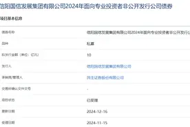 信阳国信发展集团拟发行10亿元公司债，获上交所受理图片