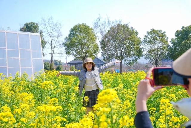 今天！武进到处都是人