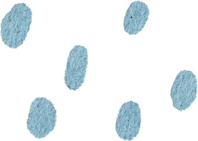 宝藏安徽各有一套！蜀山总有您，喜欢的那一套！