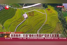 陕西佛坪：打造“秦岭大熊猫IP”促进文旅发展