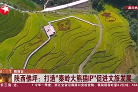 陕西佛坪：打造“秦岭大熊猫IP”促进文旅发展