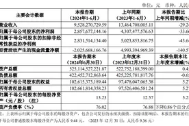 中信建投上半年营收净利双降，投行业务收入减少61％图片