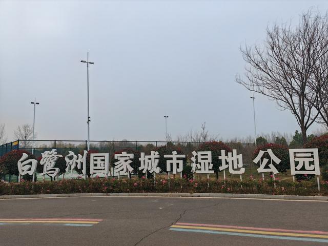 e路采风行，看见平顶山丨新华区：古韵新风交相映 活力城区入画来