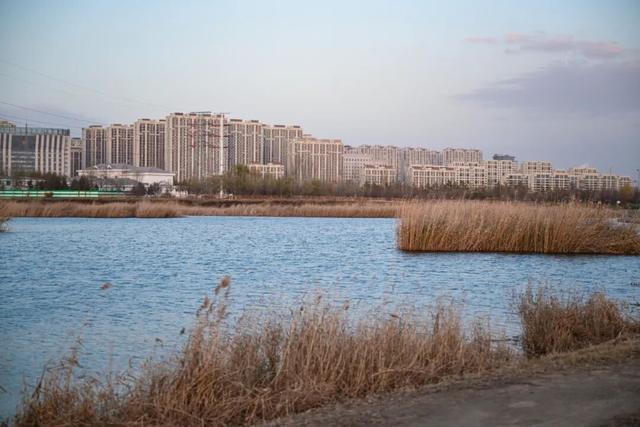 包头这里有好多“瑞士卷”！你去了吗