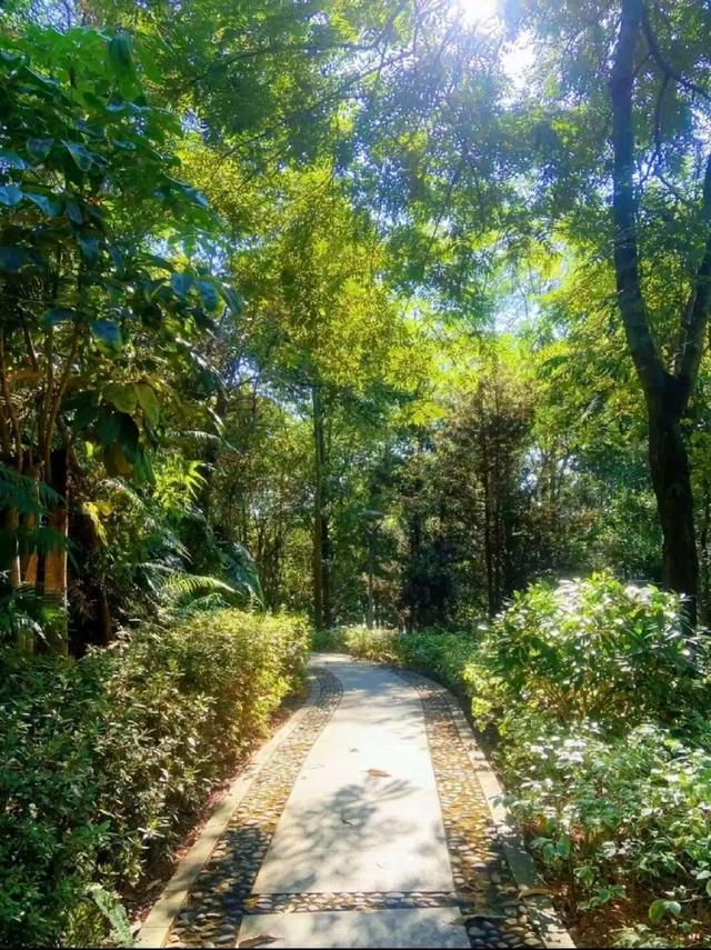 山的那边真的是海吗？为了探求真相，我决定周末就出发……