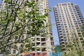 全域监控 人脸识别 人车分流……住报业文苑小区“安全感”满满图片