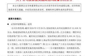 这家科创板公司被ST！实控人资金占用未按期归还图片
