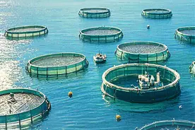 特别策划｜海上牧场铸就蓝色梦想！中国水产养殖何以领跑世界图片