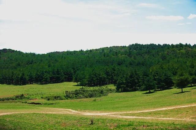 藏着自然的无尽温柔与浪漫！来盘龙大哨森林，我“氧”你啊！