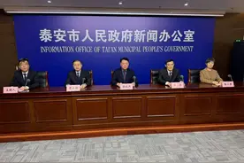 泰安市全力落实政策红利 投资消费双轮驱动再提速图片