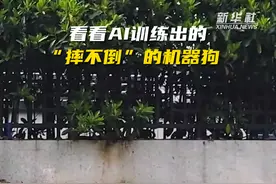 秀我中国｜看看AI训练出的“摔不倒”的机器狗图片