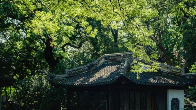 快来嘉定的“避暑山庄”，浸透一园清凉！