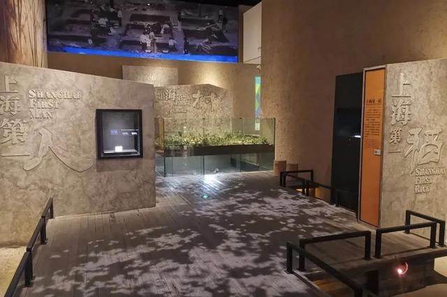 一日闲，两日慢，三日深度玩！满满年味看青浦→