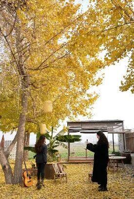 @高邮人 邀请您找寻心中的……