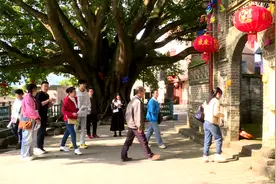 赏花游景享暖冬！看看东北老铁在上林怎么玩→图片