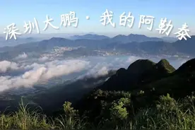 在深圳这里，遇见你的“阿勒泰”图片