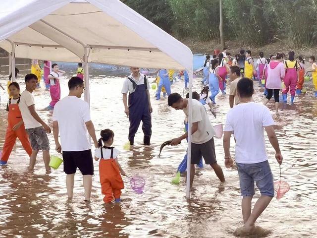 门票免费送！四会禾风稻田农场童玩节即将开启