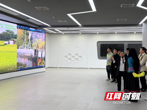 达人寻味之旅侧记③｜烟雨飞山之上，看见靖州文旅融合新图景