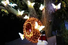 好客山东 好品山东丨星耀槲林、冬之精灵…日照这几个绝美打卡地，上！新！啦！图片