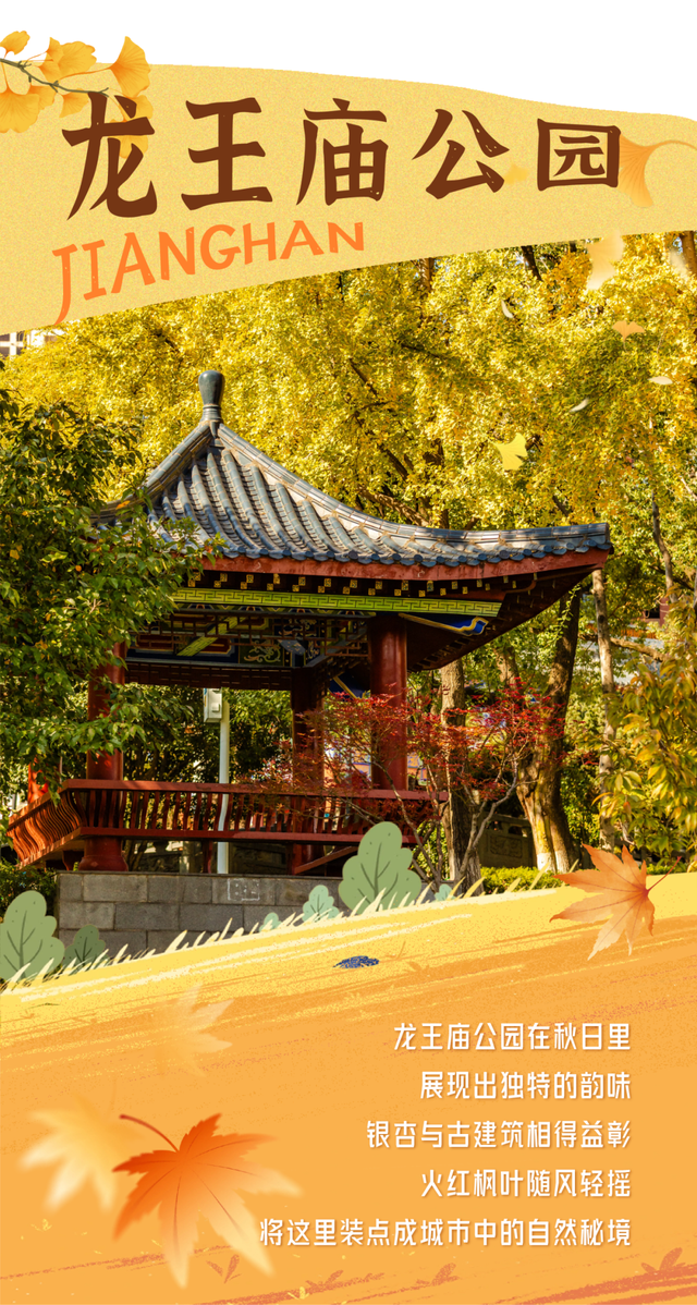 在江汉，听见公园里的秋色私语