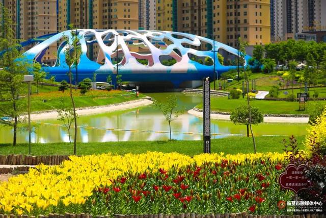 临夏市：一座把“浪漫”写进马路牙子的城市
