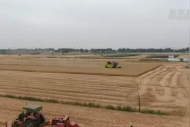 这妮儿真中！“00后”女机手逐梦丰收图片