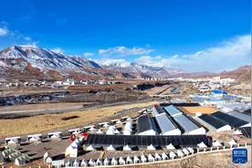 西藏丁青：冬日里的蔬果丰景图片