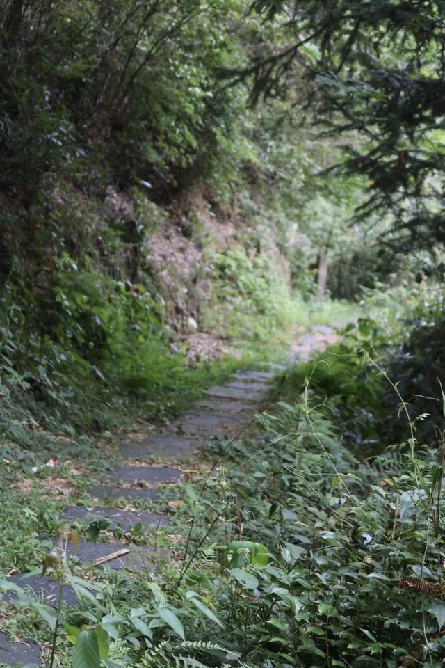 茶马古道上的高山之城，一面静界一面狂飙