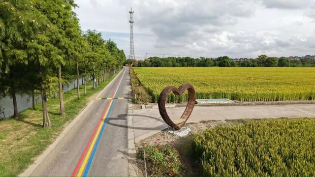 罗泾这5个宝藏村落，秋日chill感满分！一起来打卡吧~
