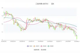 三安光电：2024年上半年净利润1.84亿元 同比增长8.44%图片
