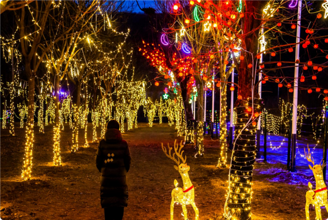 平谷井峪林下寻光 让我们赴一场生态与温情的双向奔赴