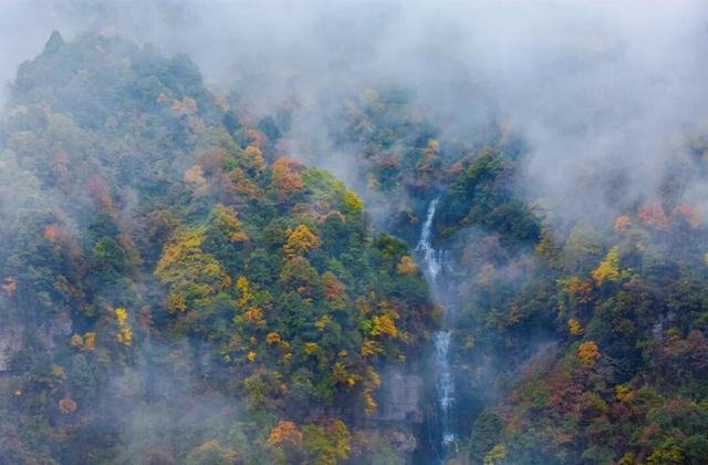 值哭！秋日的瓦屋山超有氛围好吗~