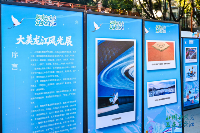 “冰雪之冠”惊艳羊城！黑龙江邀客赴冬日童话之旅