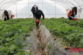 石鼓区盘活存量、变废为宝，激活乡村振兴内生动力图片