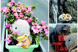 AI宠物机器人出圈，有的一度卖断货图片