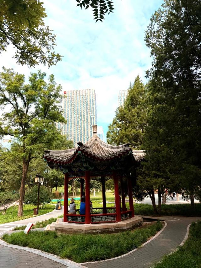 打卡人超多！小编实探：通州这个知名公园景观焕新升级，还藏着一处惊喜......