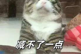 快改掉！这些习惯，正在让你越来越胖图片