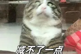 快改掉！这些习惯，正在让你越来越胖图片