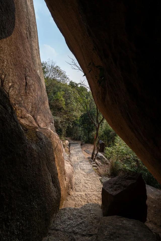 朱家尖景区免门票！这类人可享→