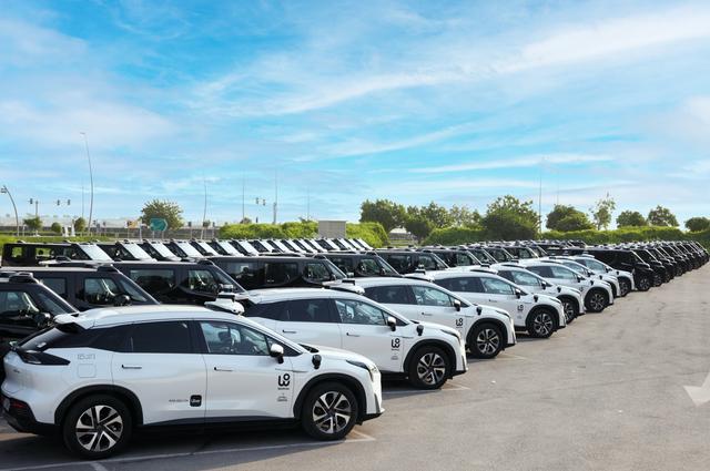 2025年度成长型公司盘点：在红海赛道中“硬碰硬”