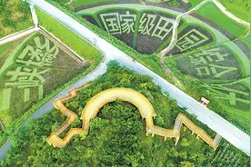 田园综合体铺展乡村新图景图片