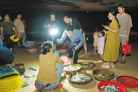 沿着环岛旅游公路解锁海南新玩法 一条路的N种打开方式图片
