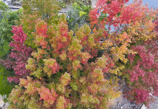 我在这里，等你→